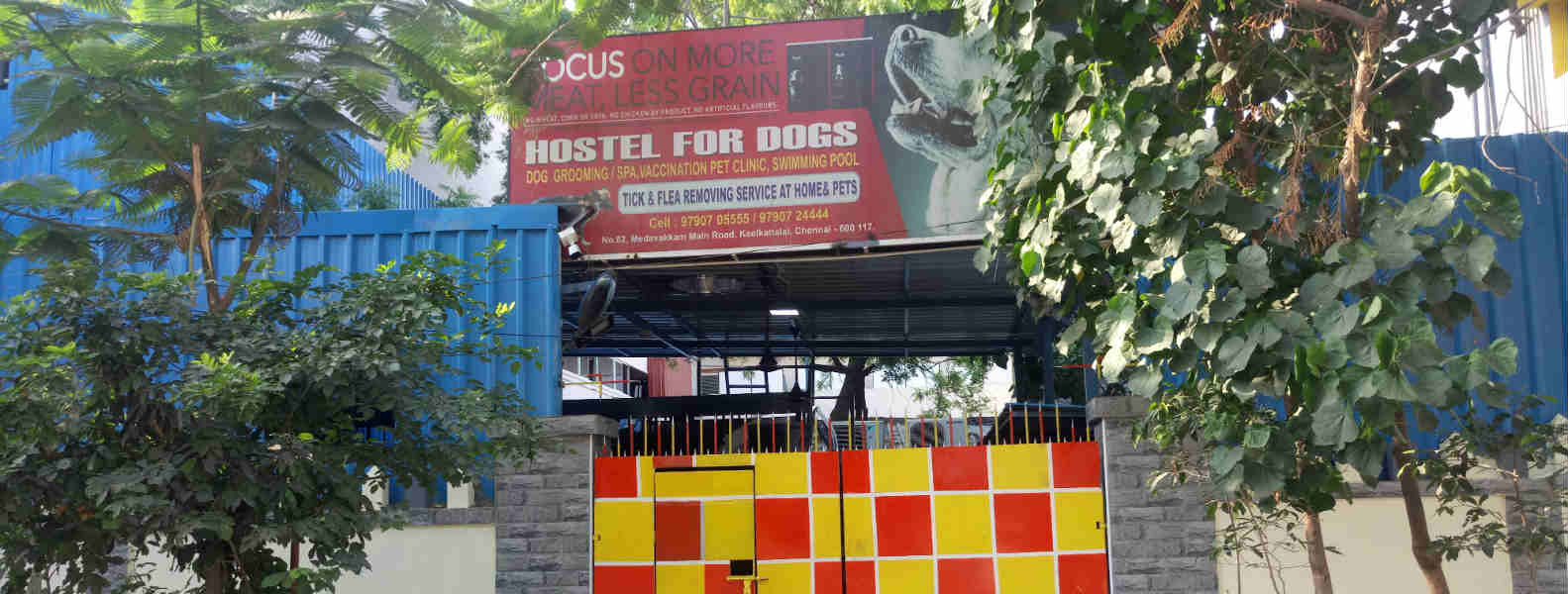 dog tick removal centre