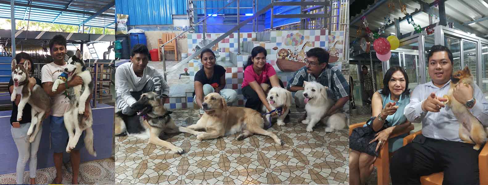 tick bathing for dogs